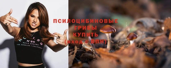 твердый Белая Холуница