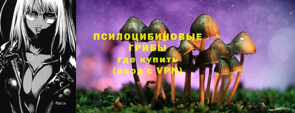 винт Бежецк