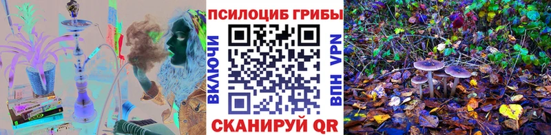 Псилоцибиновые грибы GOLDEN TEACHER  Рузаевка 