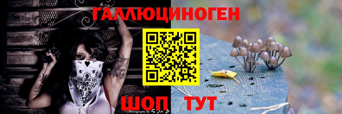 Псилоцибиновые грибы GOLDEN TEACHER  Вход с VPN  Рузаевка 